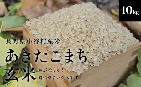 yߘa7NxYz쌧JSlÔ܂yāz@10kg