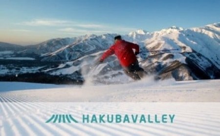 HAKUBA VALLEY 9スキー場共通1日券（2枚）