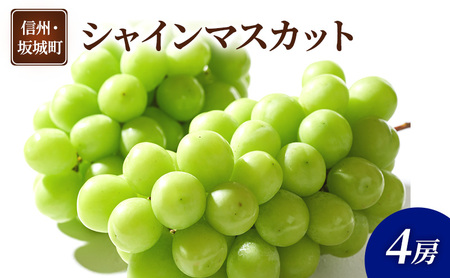 Ԃǂ VC}XJbg 4[  uhE t[c ʕ fU[g  MB  钬