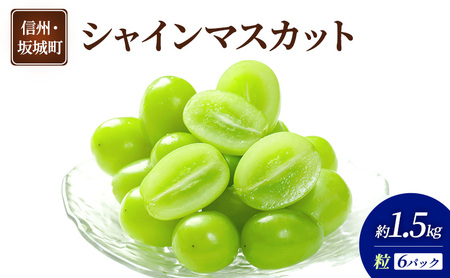 Ԃǂ VC}XJbg 6pbN 1.5kg  uhE t[c ʕ fU[g  MB  钬