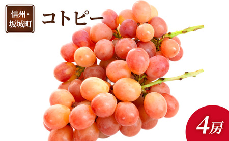 Ԃǂ Rgs[ 4[  uhE t[c ʕ fU[g  MB  钬