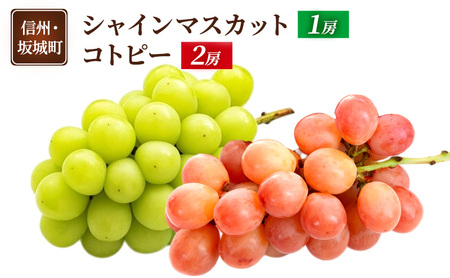 Ԃǂ VC}XJbg 1[ Rgs[ 2[  uhE t[c ʕ fU[g  MB  钬
