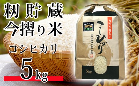 [籾貯蔵 今摺り米]コシヒカリ5kg