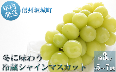 yN͂zVC}XJbg ~ɖ키I① 3kg (5`7[)  MB  ①VC Yn {Ԃǂ N uhE  Ȃ t[c ʕ