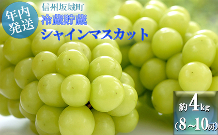 11・12月発送】冬に味わう！冷蔵貯蔵シャインマスカット 約4kg (8～10