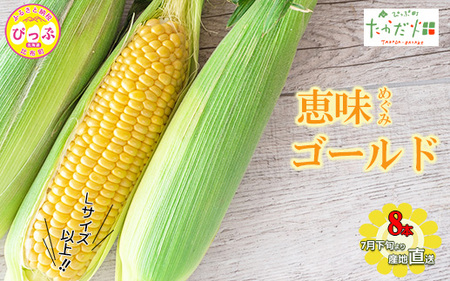 【2025年7月下旬頃発送】「恵味ゴールド」 8本 Lサイズ以上 約1.6kg【たかだ畑】めぐみゴールド とうもろこし スイートコーン 産地直送 とうきび BBQ バーベキュー 甘い 北海道 比布町 ぴっぷ 1018-004