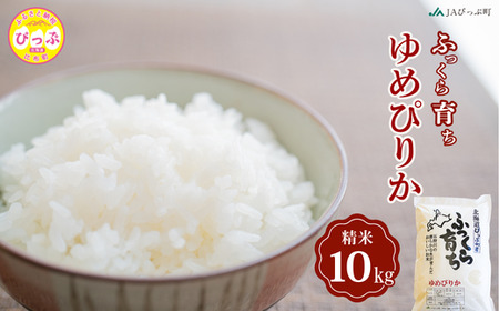 ߘa7NY V ߂҂肩  10kgi5kg×2܁jyJA҂Ւz  kCY kC AN Y  R kC z ҂ 1001-010