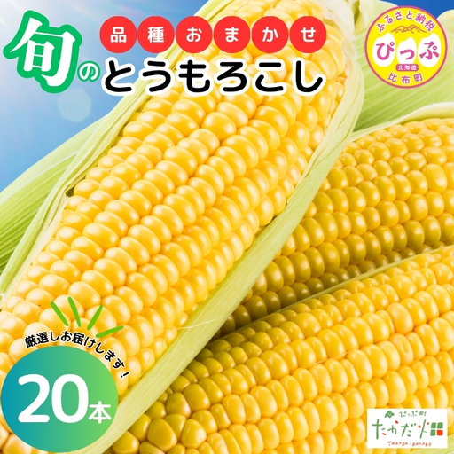 【2026年7月下旬頃発送】とうもろこし 品種おまかせ 20本 【たかだ畑】 あまいんです 恵味ゴールド とうもろこし スイートコーン 産地直送 詰め合わせ セット とうきび BBQ バーベキュー 甘い 北海道 比布町 ぴっぷ 1018-011