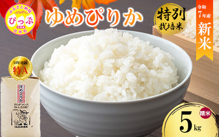 [先行予約][西間農園]特別栽培米 ゆめぴりか 精米 5kg[11月から12月上旬発送]JGAP認証農場 米 お米 北海道米 特Aランク 国産 コメ 北海道 比布町