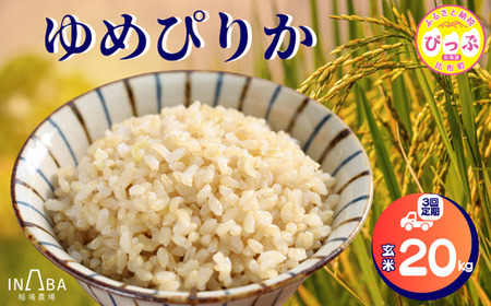 ゆめぴりか 玄米 20kg 3回 定期便[稲場農場][2025年産 先行受付]米 お米 北海道米 特Aランク 国産 白米 コメ 北海道 比布町 ぴっぷ