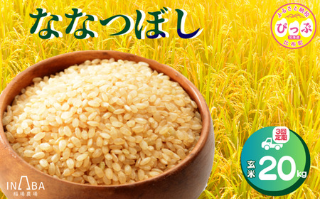 ななつぼし 玄米 20kg 3回 定期便[稲場農場][2025年産 先行受付]米 お米 北海道米 特Aランク 国産 白米 コメ 北海道 比布町 ぴっぷ