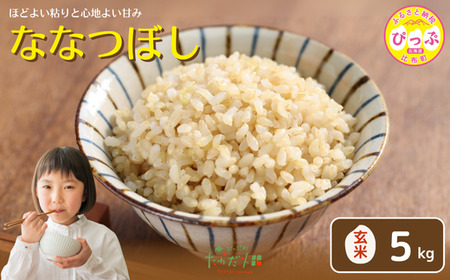 令和7年産 新米 ななつぼし 玄米 5kg[たかだ畑] 米 お米 北海道米 特Aランク 国産 玄米 コメ 2025年産 北海道 比布町 ぴっぷ