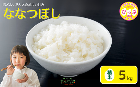 令和7年産 新米 ななつぼし 精米 5kg[たかだ畑] 米 お米 北海道米 特Aランク 国産 白米 コメ 2025年産 北海道 比布町 ぴっぷ