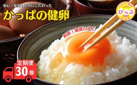 ς̌ 30 3ցyF{{z܂  ʎq ^}S    TKG Y  kC z ҂ 1006-006