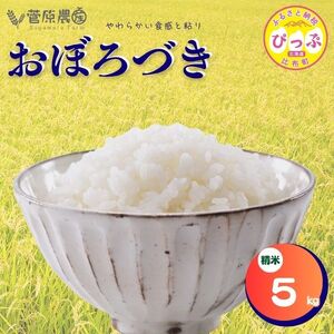 y2025NYz_Y@ڂÂ@ā@Tkg