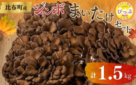 ジャンボまいたけ 1.5kg(500g×3)セット[北海道きのこ品評会 最優秀賞受賞][遠藤農産]きのこ キノコ セット 詰め合わせ 舞茸 国産 北海道産 北海道 比布町 ぴっぷ