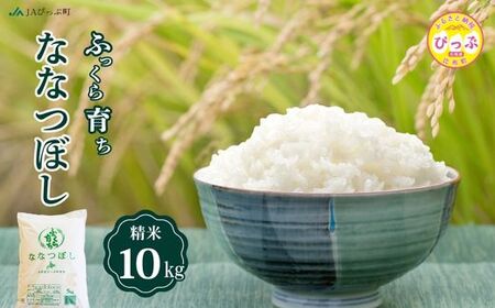 ߘa7NY V ȂȂڂ  10kgi5kg×2܁jyJA҂Ւz  kCY kC AN Y  R kC z ҂ 1001-011