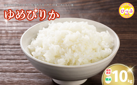 2025NY ߂҂肩  10kgyq_Yz  kC AN Y  R kC z ҂ 1014-002