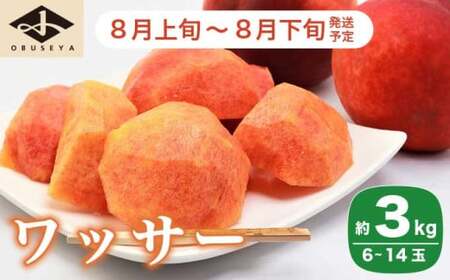 ワッサー 約3kg 6～14玉 ［小布施屋］ フルーツ 果物 長野県産 信州産 クール便 冷蔵便 数量限定 産地直送 令和7年産 【2025年8月上旬～8月下旬発送】