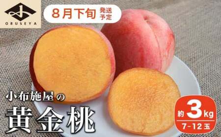 黄金桃 約3kg 7〜12玉 [小布施屋] 桃 もも モモ フルーツ 果物 令和7年産 [2025年8月下旬発送]