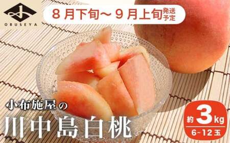 川中島白桃 約3kg 6〜12玉 [小布施屋] 桃 白桃 もも モモ フルーツ 果物 令和7年産 [2025年8月下旬〜9月上旬発送]