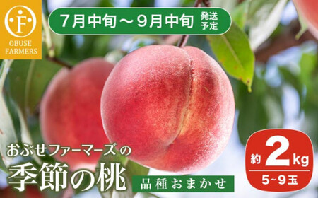 季節の桃 約2kg 5〜9玉[ おぶせファーマーズ ]桃 もも モモ ピーチ フルーツ 果物 たまき なつき あかつき 川中島白鳳 なつっこ 川中島白桃 黄金 だて白桃 先行予約 長野県産 信州産 クール便 冷蔵便 お取り寄せ 産地直送 数量限定 産地 直送 令和7年[2025年7月中旬〜9月中旬発送]