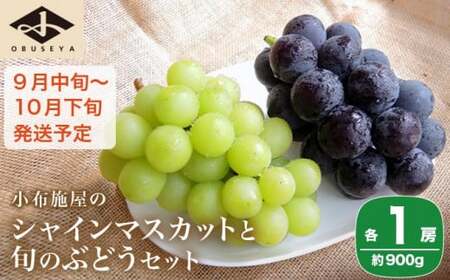 シャインマスカットと旬のぶどう 詰め合わせ 各1房 約900g[小布施屋] 食べ比べ 果物 詰合せ セット フルーツ ぶどう 詰合せ 数量限定 長野県産 信州産 2種 くだもの フルーツセット おまかせ ブドウ 2025 先行予約 令和7年 [2025年9月中旬〜10月下旬発送]