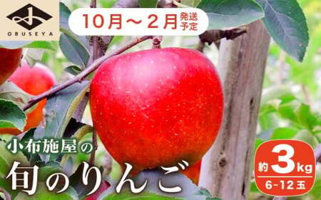 長野県産 季節の旬のりんご 約3kg 6〜12玉[小布施屋] りんご 林檎 リンゴ 果物 フルーツ 令和7年産 [2025年10月〜2026年2月発送]