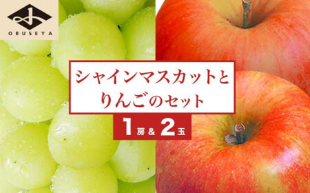 シャインマスカット1房とりんご2玉 詰め合わせ [小布施屋]果物 詰合せ セット フルーツ ぶどう 林檎 シャインマスカット 数量限定 期間限定 先行予約 冷蔵便 クール便 長野県産 信州産 送料無料 令和7年 [2025年9月下旬頃〜11月上旬頃まで順次発送]