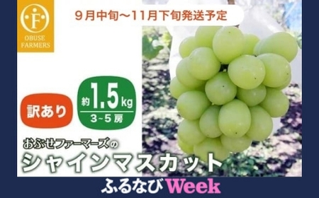 [ふるなびWEEK対象][訳あり]シャインマスカット 約1.5kg 3〜5房 [おぶせファーマーズ]家庭用 果物 フルーツ ぶどう 期間限定 数量限定 規格外 不揃い 傷 令和7年産 [2025年9月中旬〜11月下旬発送] FN-Limited