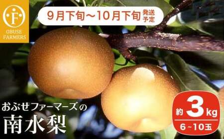 南水 秀品 約3kg 6〜10玉 [おぶせファーマーズ] 令和8年産 [2026年9月下旬〜10月下旬発送][F-31]