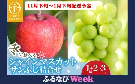 [ふるなびWEEK対象]冬に食べるシャインマスカットとサンふじ詰合せ 1房(約500g) 2〜3玉[おぶせファーマーズ] ぶどう りんご 林檎 リンゴ 果物 フルーツ 長野 信州 数量限定 令和7年産[2025年11月下旬〜2026年1月下旬発送] FN-Limited