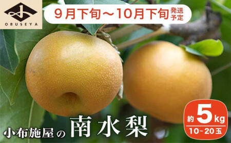 先行受付 南水梨 約5kg 10-20玉 [小布施屋]令和8年産 [2026年9月下旬〜10月下旬発送]