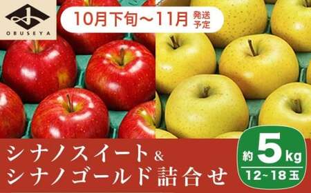 長野県りんごの味比べ 約5kg 12〜18玉 シナノスイート シナノゴールド [小布施屋] りんご 林檎 リンゴ 果物 フルーツ 令和8年産[2026年10月下旬〜11月発送] 