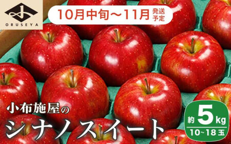 先行受付 シナノスイート 約5kg 10〜18玉 [小布施屋]令和8年産[2026年10月中旬〜11月発送]