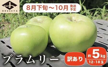 [訳あり] クッキングアップル ブラムリー 約5kg 12〜18玉 [小布施屋] 林檎 リンゴ フルーツ 果物 傷 キズ 不揃い 規格外 家庭用 令和8年産 [2026年8月下旬〜10月発送] [A-47]