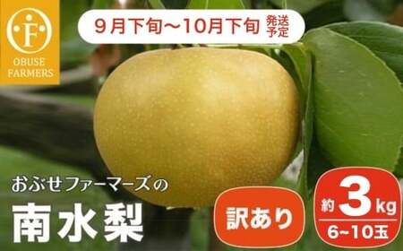 [訳あり]南水 約3kg 6〜10玉 [おぶせファーマーズ] 梨 なし フルーツ 果物 ワケアリ 傷 キズ 不揃い 規格外 家庭用 クール便 冷蔵便 長野県産 信州 先行予約 数量限定 [2026年9月下旬〜10月下旬発送][F-32]