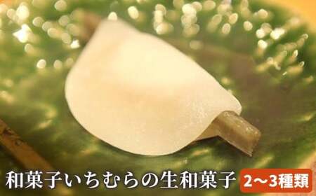 手作り 和菓子いちむらの生和菓子 12個前後 [和菓子いちむら]和菓子 上生菓子 お菓子 お茶席 お祝い スイーツ 長野 信州 小布施 お取り寄せ 詰め合わせ 詰合せ