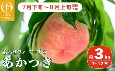 ������ ��3kg 7�`12�� �m���Ԃ��t�@�[�}�[�Y�n�� ���� ���� �t���[�c �ʕ� �N�[���� �①�� ���쌧�Y �M�B�Y  �ߘa8�N�Y�y2026�N7�����{�`8����{�����z