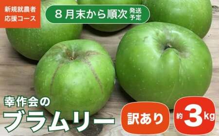 [訳あり] ブラムリー 約3kg [新規就農者応援コース 幸作会]長野県産 令和8年産[2026年8月末から順次発送] [KH-52]