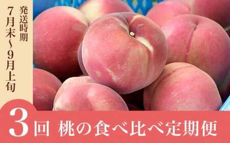 [3回定期便]小布施屋の 桃食べ比べ定期便 約1.8kg×3回 [小布施屋] 桃 もも モモ フルーツ 果物 冷蔵便 クール便 長野県産 令和8年産[2026年7月末〜9月上旬発送]