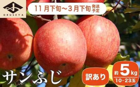 [訳あり]先行受付 サンふじ 約5kg 10〜23玉 [小布施屋]リンゴ 不揃い 規格外 令和8年産 [2026年11月下旬〜2027年3月下旬発送] [A-12]