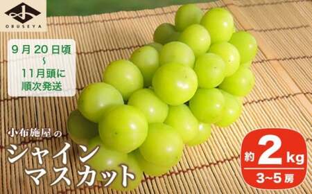 シャインマスカット 約2kg 3～5房 ［小布施屋］ 令和8年産 【2026年9月20日頃～11月頭にかけて順次発送】[B-4]