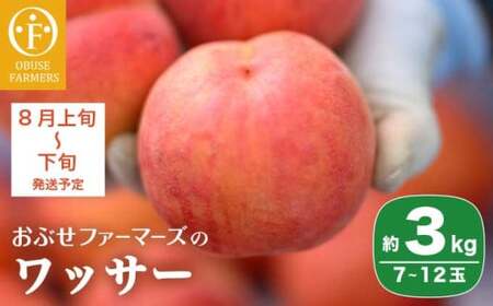 ���b�T�[ ��3kg 7�`12�� �m���Ԃ��t�@�[�}�[�Y�n�ʕ� �t���[�c �N�[���� �①�� ���쌧�Y �M�B�Y �ߘa8�N�Y�y2026�N8����{�`���{�����z