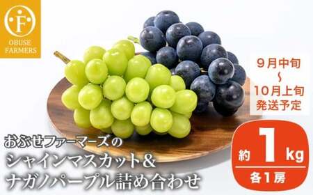 皮ごと食べられる長野県産ぶどう２種詰め合わせ シャインマスカット ＆ ナガノパープル 約1kg 各1房 ［おぶせファーマーズ］ 果物 フルーツ ぶどう 葡萄 冷蔵便 クール便 長野県産 信州産 食べ比べ 令和8年産 【2026年9月中旬～10月上旬発送】  ［F-27］
