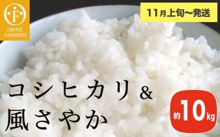 コシヒカリ&風さやか 食べ比べ 約10kg [ おぶせファーマーズ ] お米 コメ おこめ ご飯 精米 長野県産 2種 [2025年11月上旬〜発送]