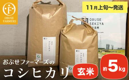 �R�V�q�J�� ����  ��5kg �m ���Ԃ��t�@�[�}�[�Y �n ���� �R�� ������ ���� ���� ���쌧�Y �y2025�N11����{�`�����z