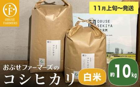 �R�V�q�J�� ����  ��10kg �m ���Ԃ��t�@�[�}�[�Y �n ���� �R�� ������ ���� ���� ���쌧�Y �y2025�N11����{�`�����z