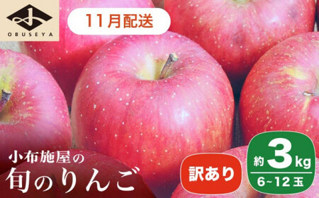 [訳あり] 旬のりんご 約3kg 6〜12玉 [小布施屋] 傷 規格外 不揃い 訳アリ 家庭用 りんご 林檎 リンゴ 果物 フルーツ 長野県産 信州産 特産 産地直送 産直 数量限定 先行予約 令和8年度 [2026年11月配送][A-304b]