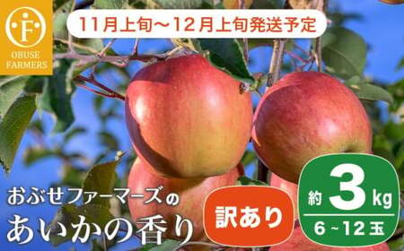 [訳あり]あいかの香り 約3kg 6〜12玉 [おぶせファーマーズ] フルーツ 果物 林檎 リンゴ 長野県産 信州産 加工 傷 キズ 不揃い 規格外 家庭用 令和8年産 [2026年11月上旬〜12月上旬発送] [FH-57]